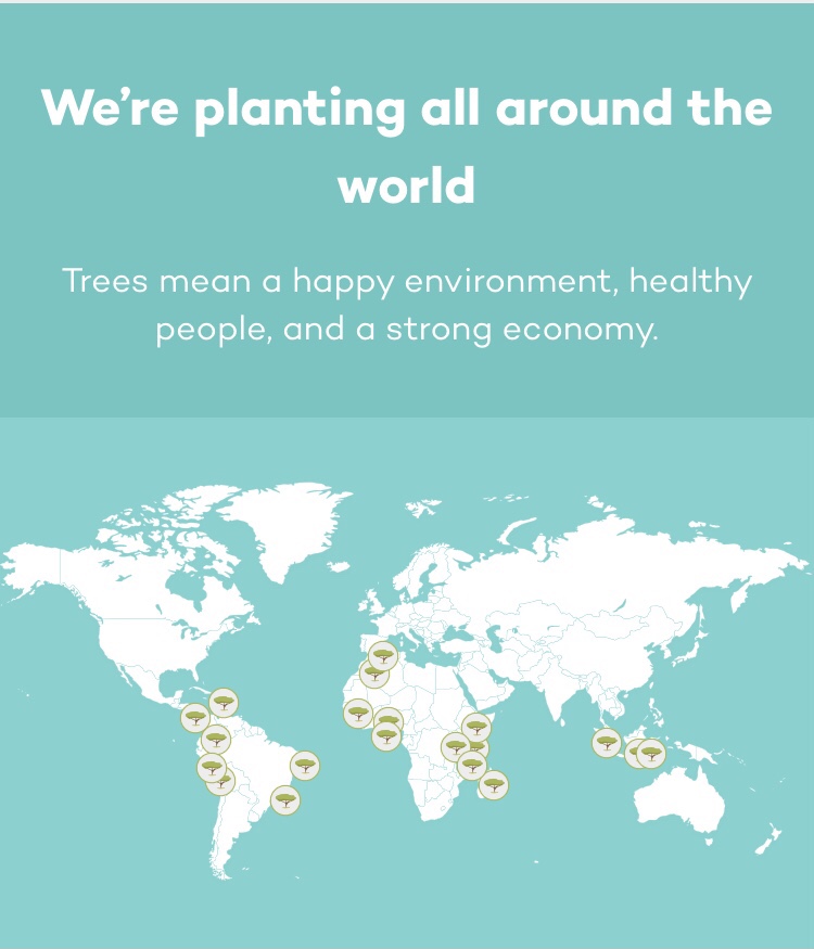 ECOSIA – one of the most effortless and free ways to help our planet = amazing 🌱 🌲 🌳 🌎 💕